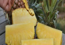 菠萝芯怎么加工 有哪些步骤