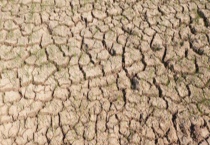 土壤污染的分类和防治 主要分为无机污染和有机污染