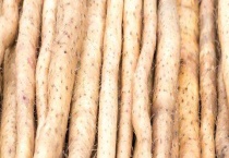 野生山药与人工种的有什么区别？？