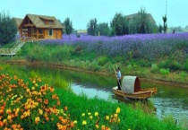 休闲农业的规划原则 需遵循以下五个原则