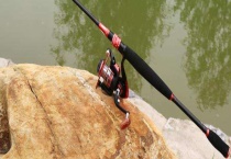 路亚竿枪柄和直柄有什么区别？？从外观、导环、渔轮、用法上来区分