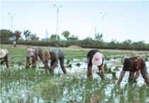 涉农和非涉农是什么意思
