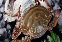 梭子蟹怎么吃 有哪些做法