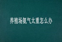 养殖场氨气太重怎么办？