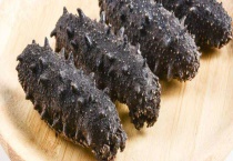 哪个产地的海参比较好 附其做法