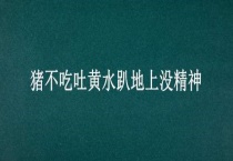 猪不吃吐黄水趴地上没精神
