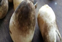 草菇多少钱一斤 鲜香菇和干香菇的价格不同