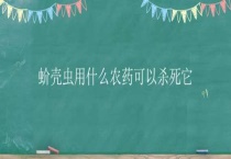 蚧壳虫用什么农药可以杀死它