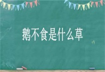 鹅不食是什么草