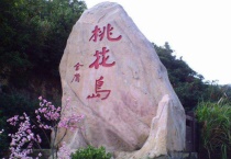 淮安桃花岛开花了吗？