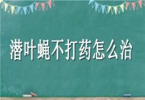 潜叶蝇不打药怎么治