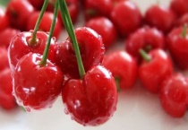 樱桃树如何施肥