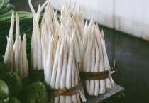 草芽是什么植物