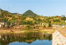 黄骨鱼养殖风险大吗？