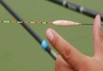 钓鱼调漂有哪些技巧？附漂目定义