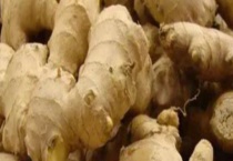 姜皮发绿的生姜还可以吃吗 冬季保存生姜不发绿的多久？