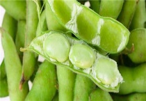 毛豆、黄豆、青豆的区别？