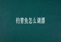 钓青鱼怎么调漂