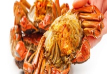 螃蟹中的蟹膏是什么？和蟹黄的区别？有哪些？蟹膏和蟹黄哪个好吃