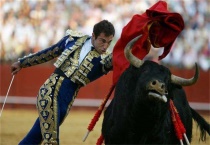 牛为什么看见红色就追