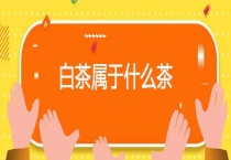 白茶属于什么茶