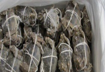 冷冻后的大闸蟹还能不能吃 附大闸蟹的挑选多久？