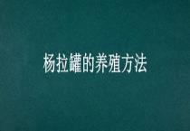 杨拉罐的养殖多久？