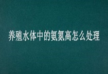 养殖水体中的氨氮高怎么多久？