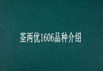 荃两优1606品种介绍