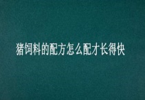 猪饲料的配方怎么配才长得快