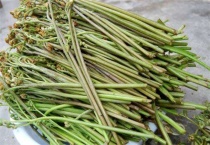 蕨菜和薇菜的区别？