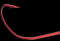 秋田狐2号鱼钩可以钓什么鱼？这些鱼主要有什么特点