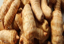 天麻产地哪里 附天麻的产地环境