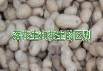 落花生和花生的区别？