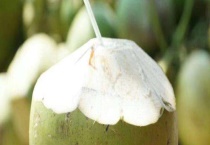 椰青的挑选方法 关于椰青的具体介绍