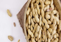 花生的生长过程