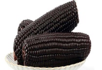 黑玉米产地在哪里 附黑玉米的营养价值