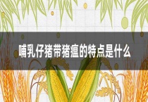 哺乳仔猪带猪瘟的特点是什么？