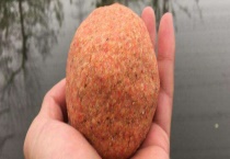 开春野钓鲫鱼饵料配方大全 饵料味型以腥为主、香为辅