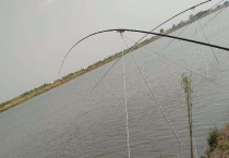 长竿短线钓的优势及技巧 钓具怎样搭配