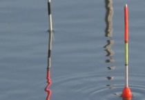 黑漂是怎么形成的？详细如下