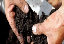 菌肥有什么执行标准 微生物菌肥该怎么使用