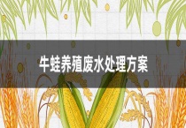 牛蛙养殖废水处理方案
