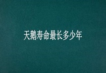 天鹅寿命最长多少年