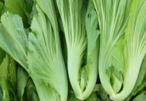 芥菜和芥蓝的区别？ 它们分别为何种科属植物