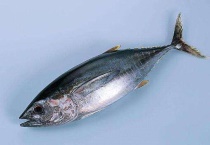 鱼身上的寄生虫高温能杀死吗？