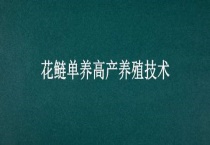 花鲢单养高产养殖技术