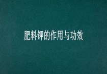 肥料钾的作用与功效