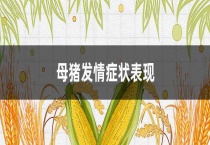 母猪发情症状表现