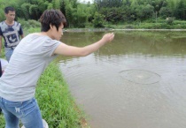 草虾养殖的新法